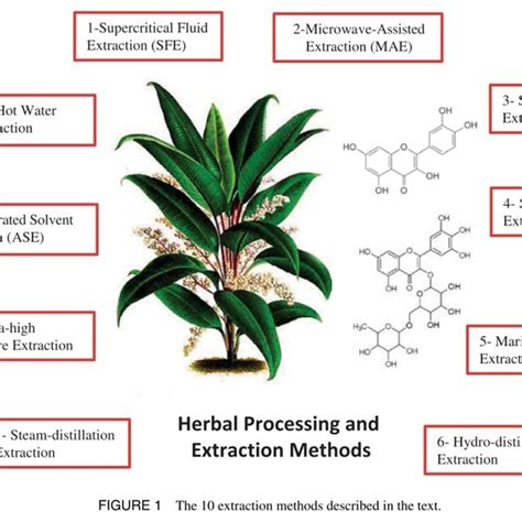  Over the years, scientists have developed various extraction methods, all of which have benefits and drawbacks